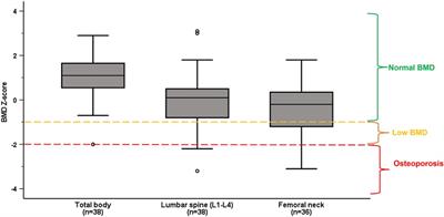 High prevalence of low bone mineral density but normal trabecular bone score in Norwegian elite Para athletes